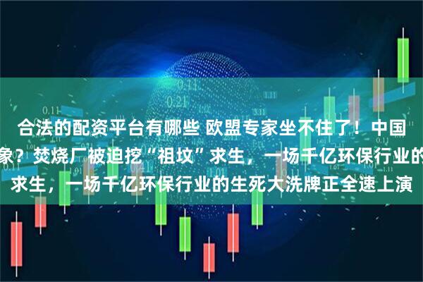 合法的配资平台有哪些 欧盟专家坐不住了！中国垃圾多到烧不完竟是假象？焚烧厂被迫挖“祖坟”求生，一场千亿环保行业的生死大洗牌正全速上演